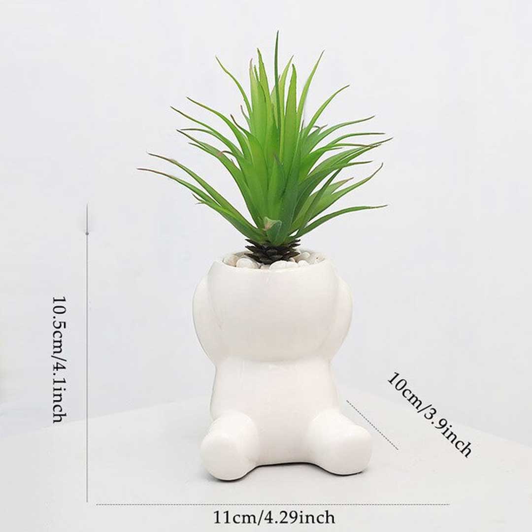 Nordic Cute Succulent Plant Simulation