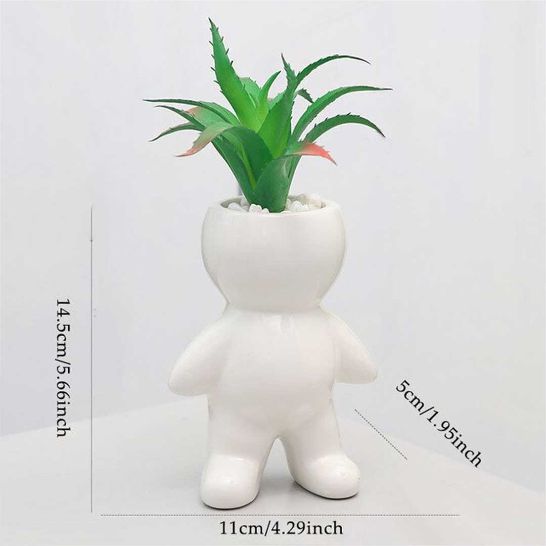 Nordic Cute Succulent Plant Simulation