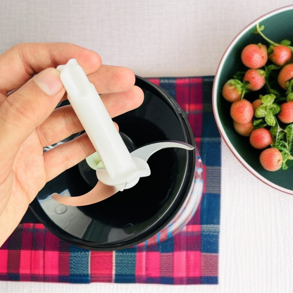 4 in 1 Immersion Blender