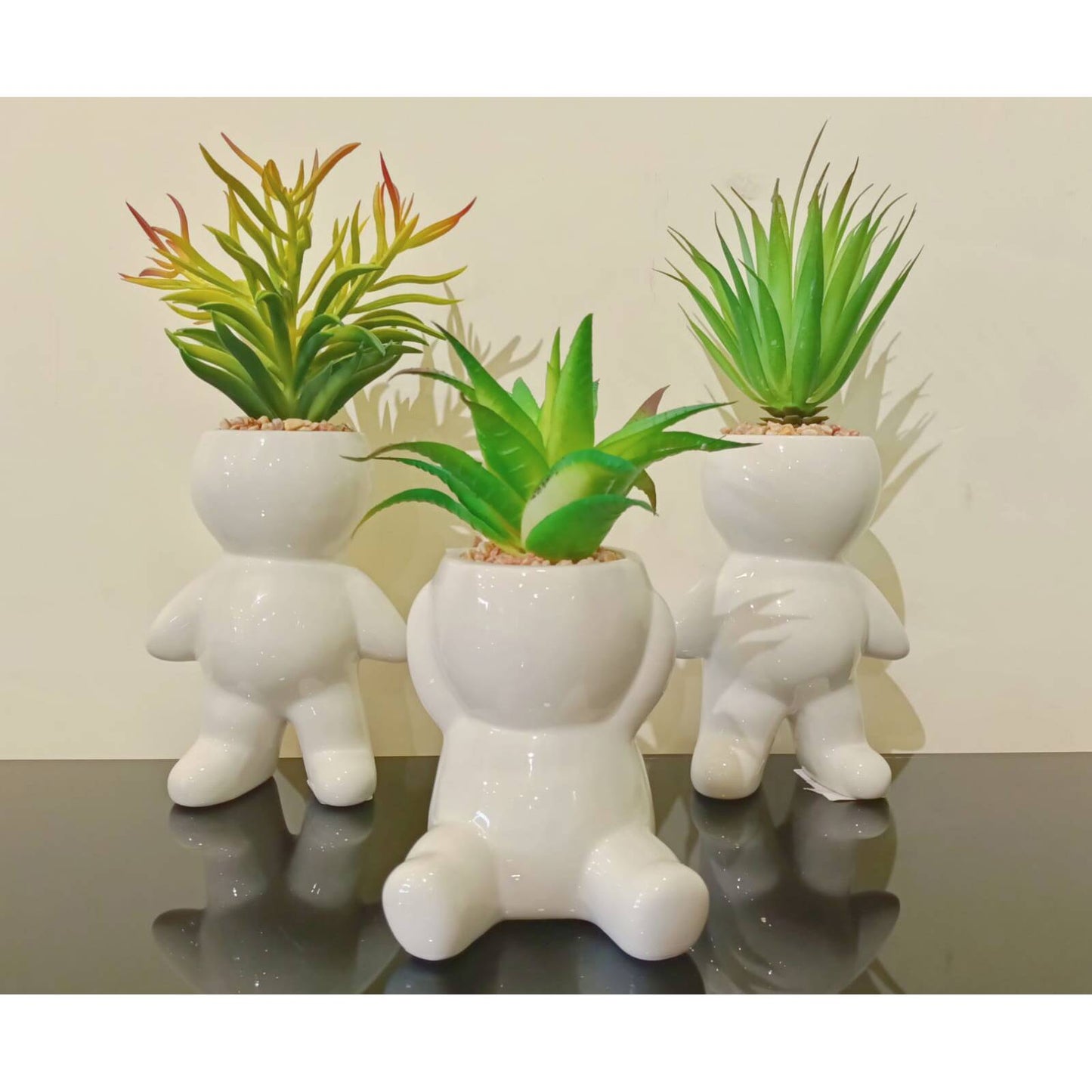 Nordic Cute Succulent Plant Simulation