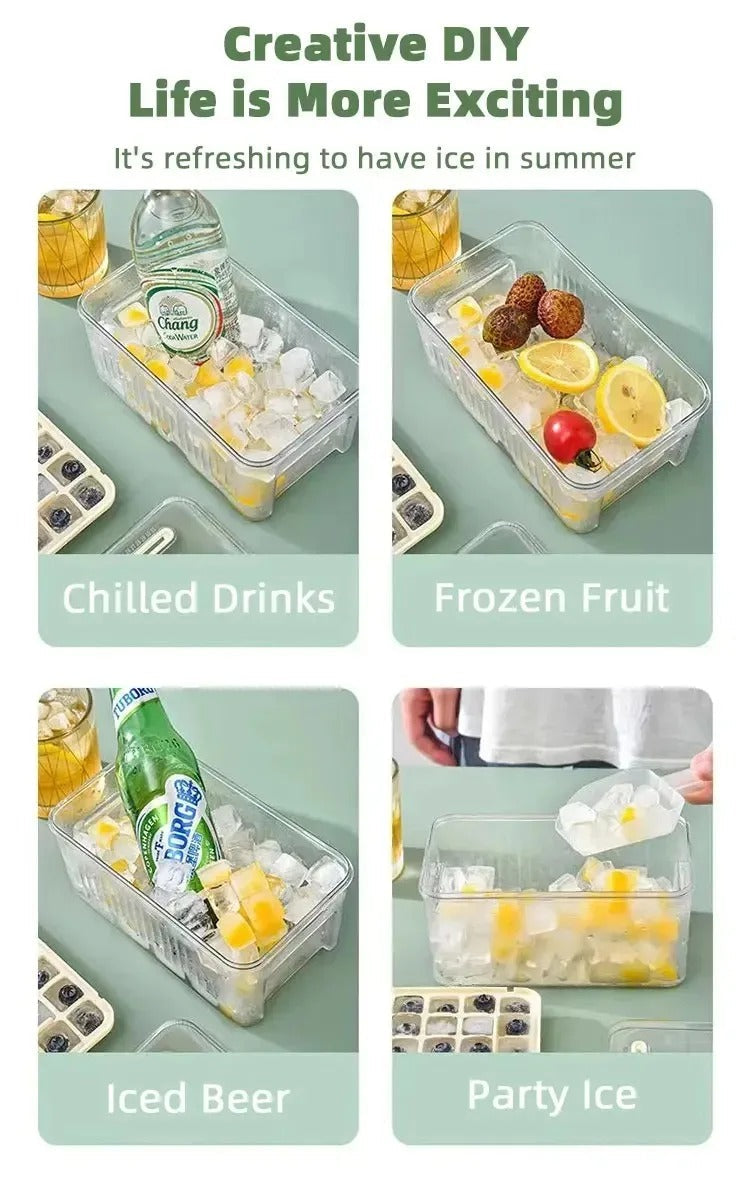 Press Type Ice Cube Storage Box